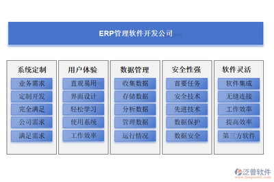 ERP管理軟件開發公司